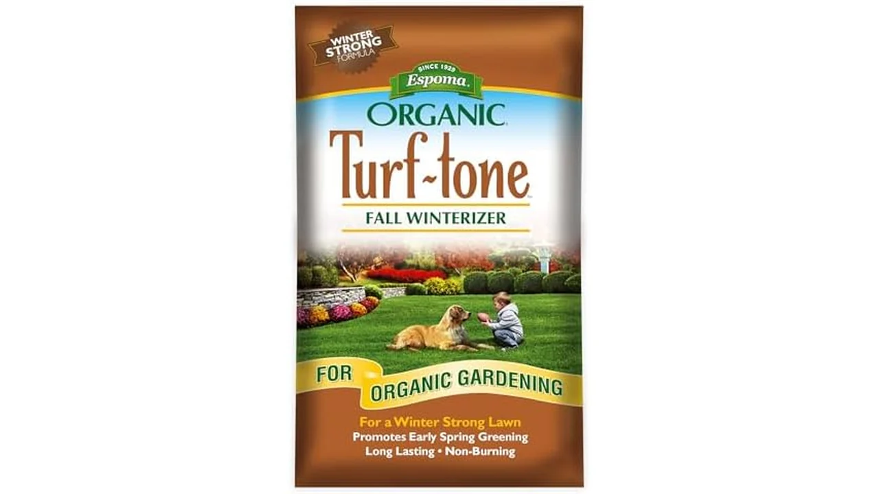 Turf-Tone Fall Winterizer 8-0-5: Honest Review