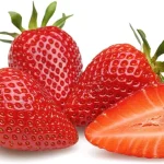 featured 1791