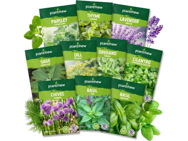 10 Herb Seeds Variety Pack – 7,000+ – Honest Review