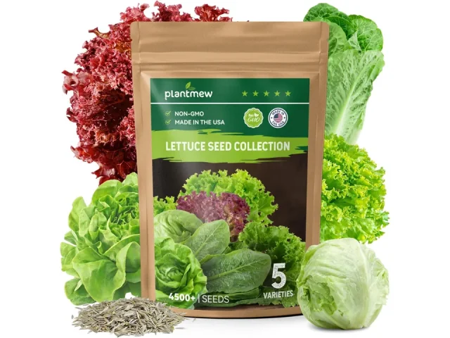 Heirloom Lettuce Seeds – 5 Varieties, Non-GMO – Honest