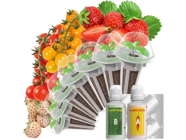Strawberry Seed Pods – In-Depth Review