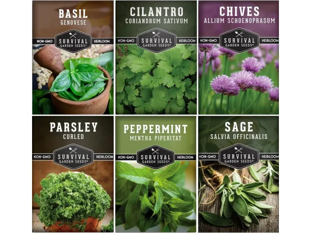 Hydroponic Herb Seeds Indoor Garden | 6 Variety – Detailed