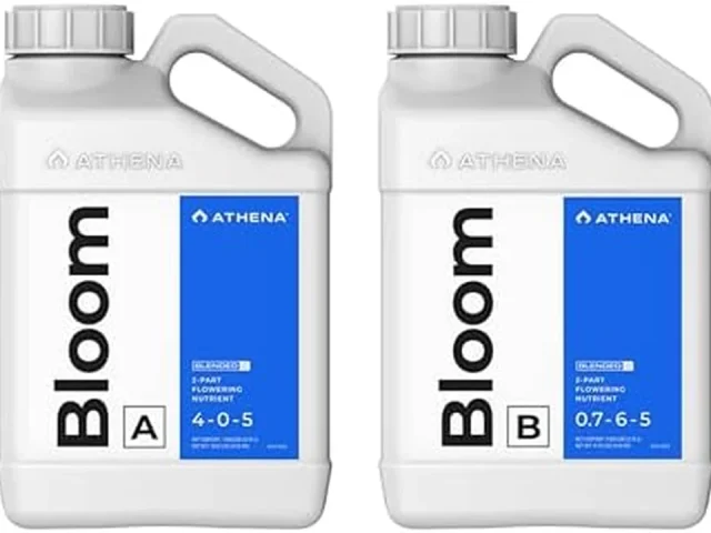 Athena Blended Bloom A&B: In-Depth Review