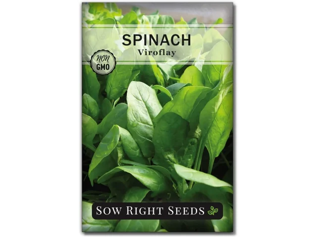 Sow Right Seeds – Viroflay Spinach Seed – Complete Review