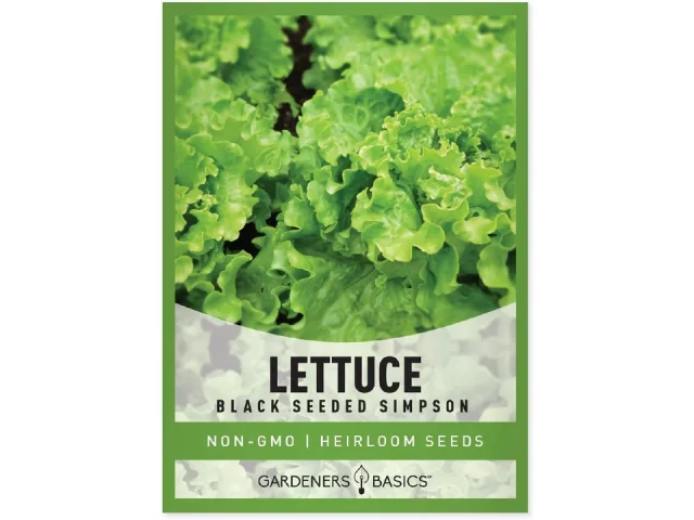 Gardeners Basics, Green Leaf Lettuce Seeds Planting – Pros