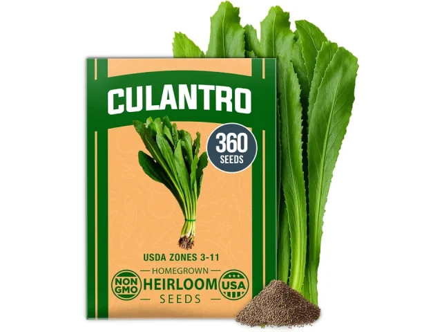HOME GROWN Culantro Seeds 360 Herb – Expert Review