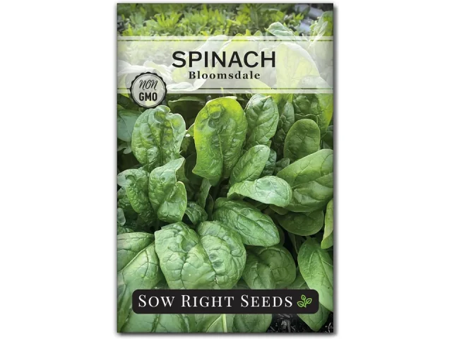 Sow Right Seeds – Bloomsdale Spinach Seeds – Honest Review