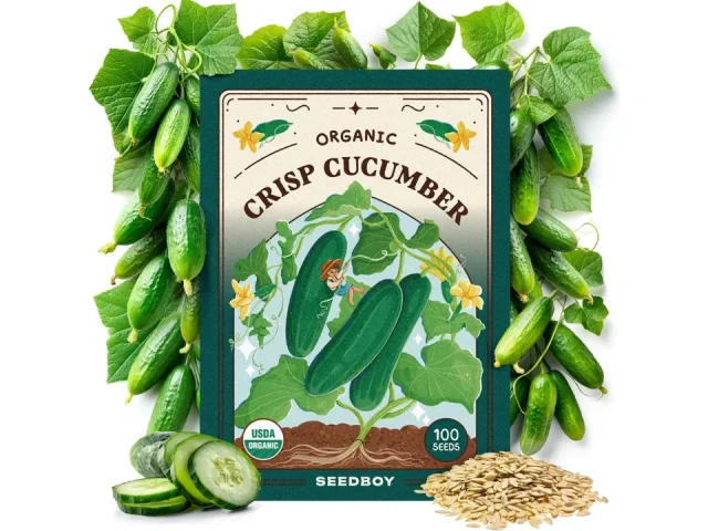 Seedboy Organic Cucumber Seeds – Honest Review