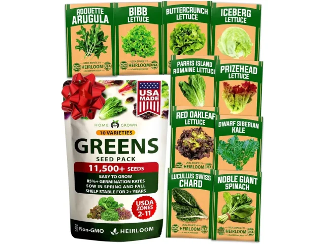 HOME GROWN Heirloom Lettuce Seeds – Detailed Review