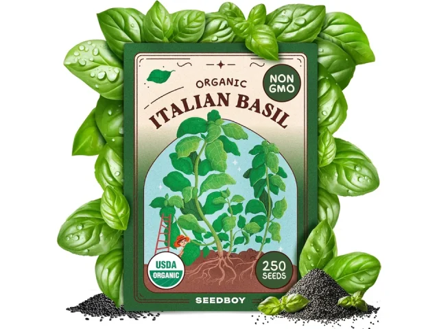 Seedboy 250 Organic Basil Seeds – In-Depth Review