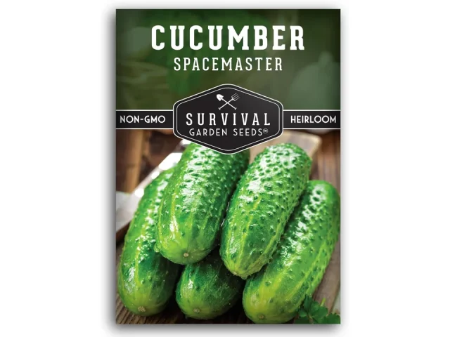 Spacemaster Cucumber Seeds: In-Depth Review