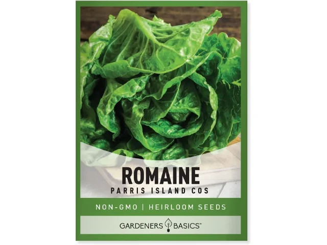 Gardeners Basics, Romaine Lettuce Seeds – Unbiased Review