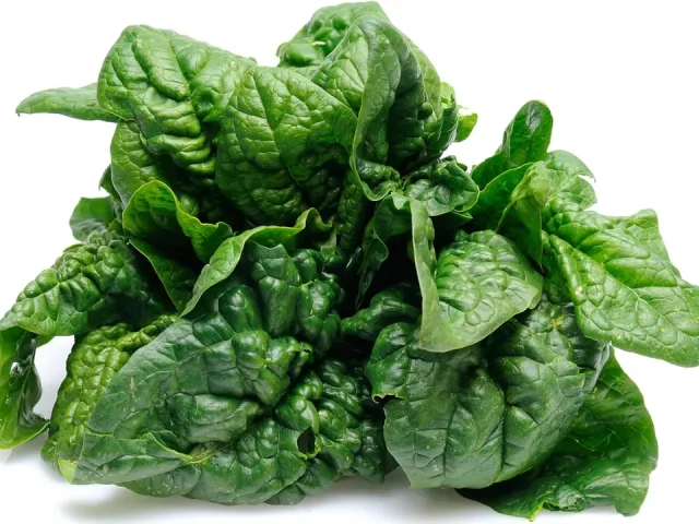 RDR Seeds 500 Bloomsdale Spinach Seeds – Honest Review