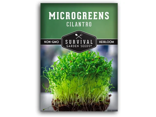 Cilantro Microgreen Seeds – Honest Review