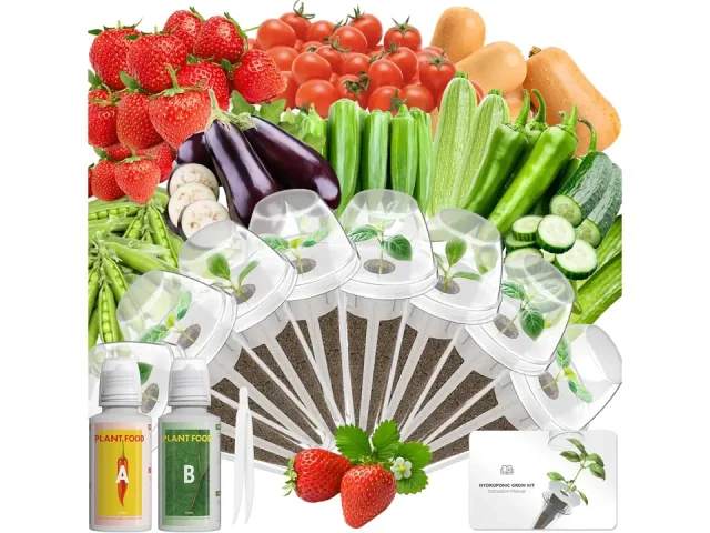 LYKOCLEAN 8-pod Fruits Seeds Pod Kit: Unbiased Review