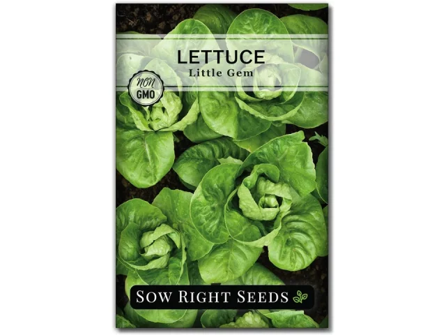 Sow Right Seeds – Little Gem Lettuce Seeds: Honest Review