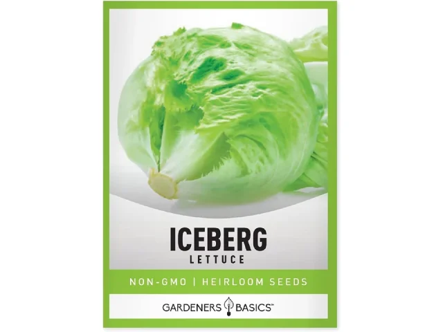 Gardeners Basics Iceberg Lettuce Seeds – Honest Review