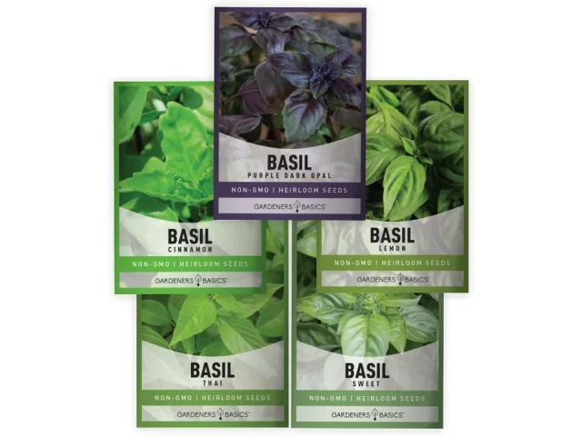 Gardeners Basics, Basil Seeds – Pros & Cons