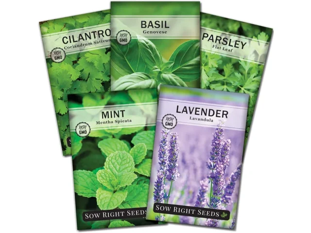 Sow Right Seeds – Most Popular Herb Seed: Honest Review