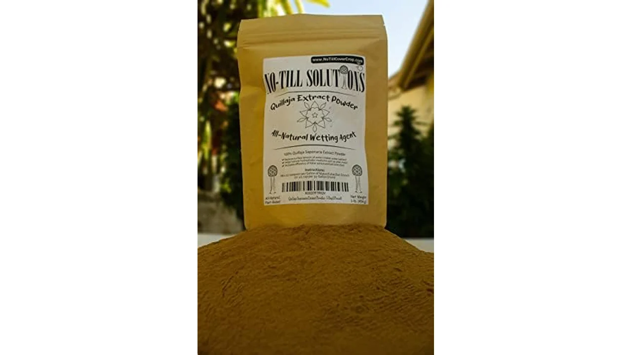 Quillaja Saponaria Extract Powder – Is It Worth the Money?