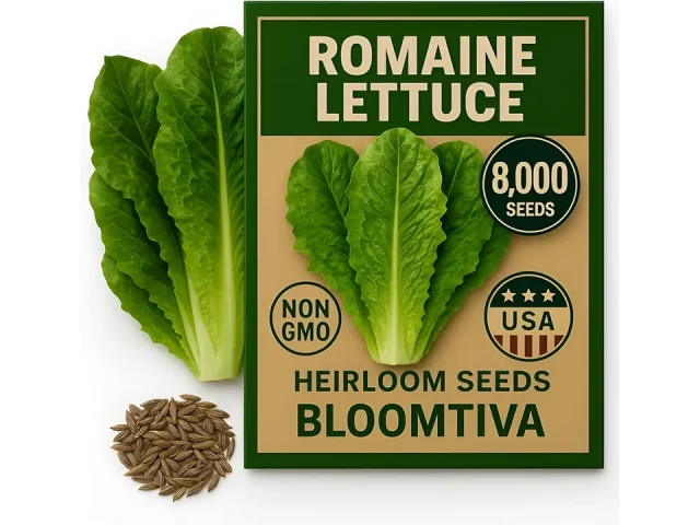 Romaine Lettuce Seeds Parris Island Cos: Honest Review