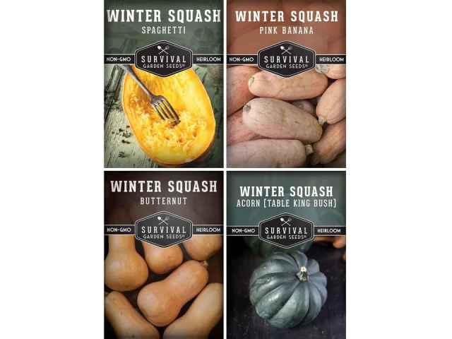Winter Squash Variety Pack – In-Depth Review