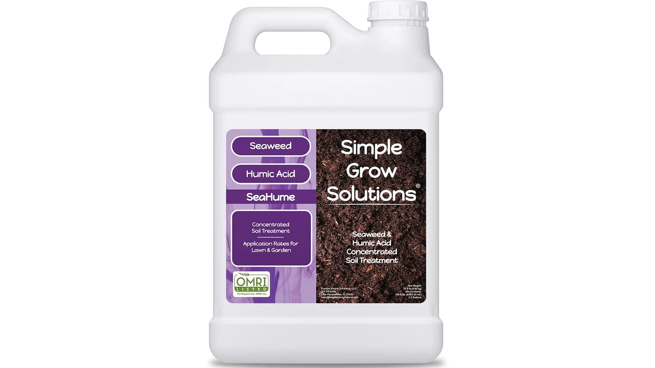 featured 187