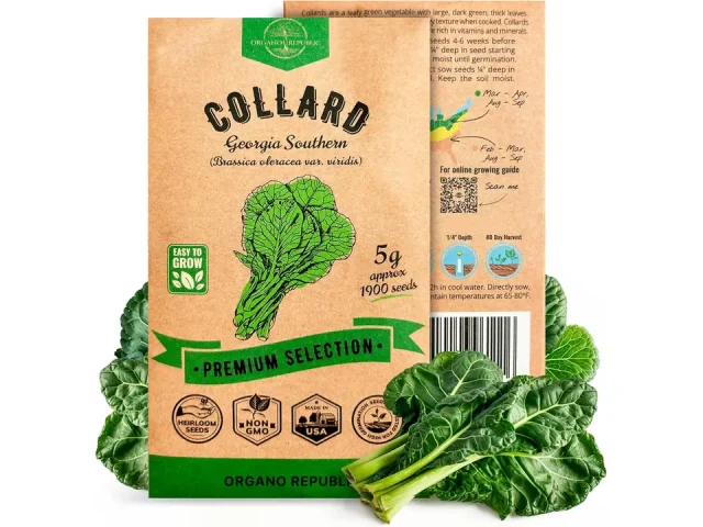 Organo Republic Collard Georgia Southern Seeds Pack 5G