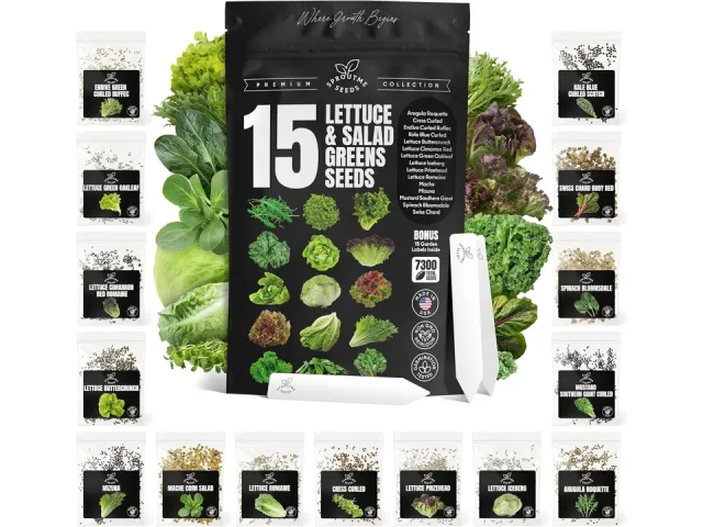 Lettuce & Salad Greens Seeds Variety Pack – Honest Review