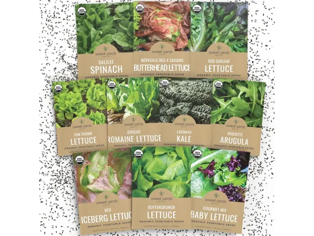 Organic Lettuce & Greens Seeds Variety Pack – Honest Review