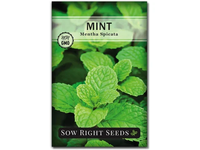 Sow Right Seeds – Mint Seeds Planting – Honest Review
