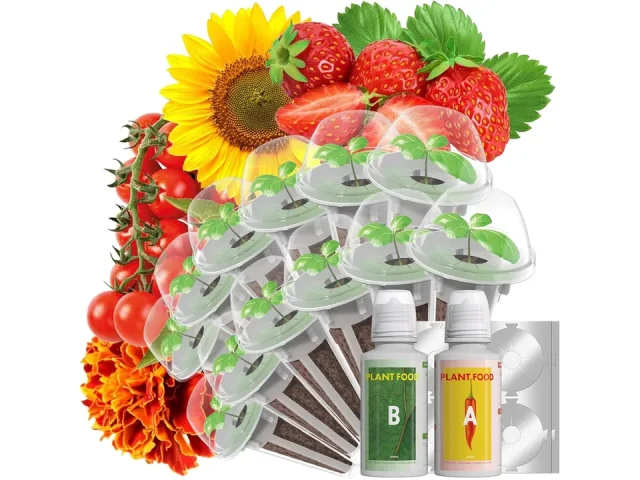LYKOCLEAN Flower Fruit Seed Pods – Buyer’s Guide