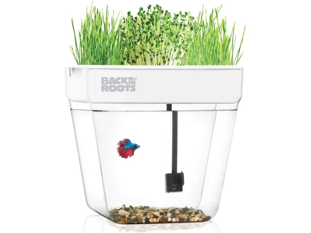 Back to the Roots Indoor Aquaponic Garden – In-Depth Review