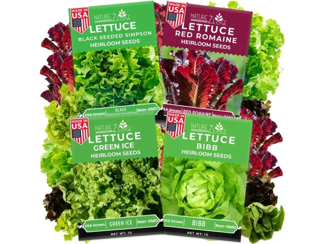NatureZ Edge Lettuce Seeds – Is It Any Good?