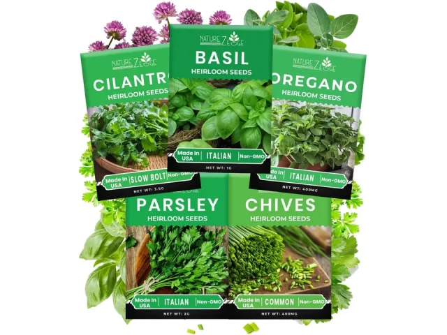 5 Herb Seeds Variety Kit, Oregano, Cilantro, Parsley