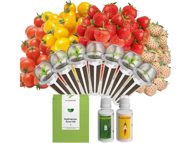 inbloom Fruit Seed Pod Kit – Honest Review