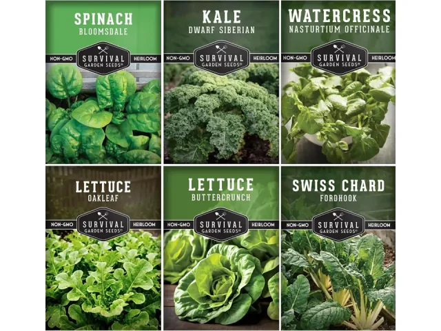 Hydroponics Vegetable Seed Collection – In-Depth Review
