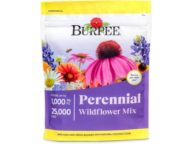 Burpee Wildflower 25,000 Bulk – Detailed Review