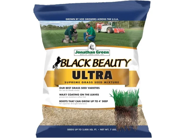 Jonathan Green Black Beauty Ultra Grass Seed – In-Depth