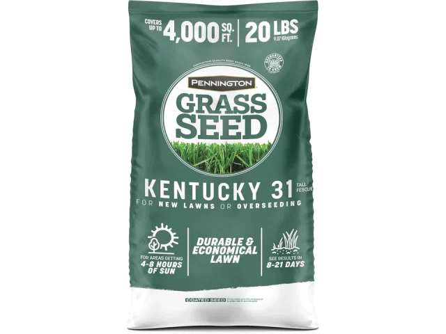 Pennington Kentucky 31 Tall Fescue Grass Seed 20lb: Honest