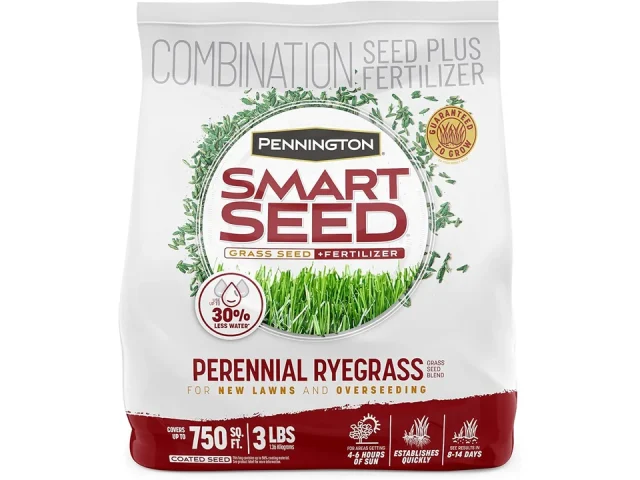 Pennington Smart Seed Perennial Ryegrass 3 lb – Pros & Cons