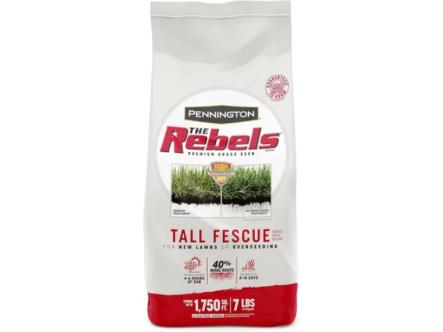 Pennington The Rebels Tall Fescue Grass Seed Mix – Honest