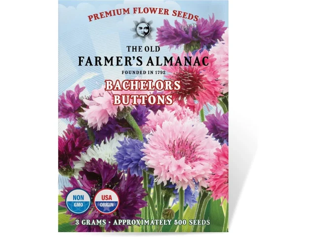 The Old Farmer’s Almanac Bachelors Buttons Seeds – Honest