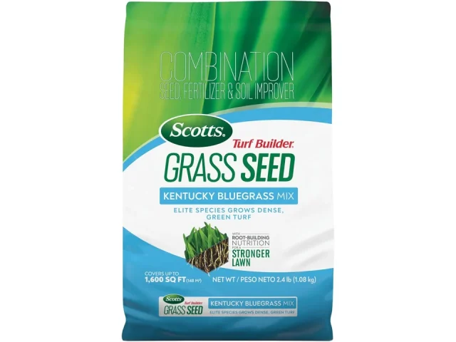 Scotts Turf Builder Grass Seed Kentucky Bluegrass Mix