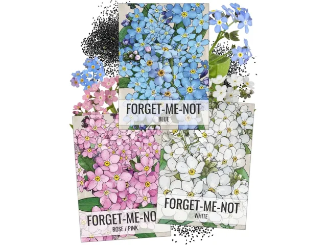 Seed Needs Forget-Me-Not Seed Packet Collection – Honest
