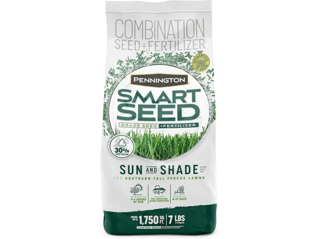 Pennington Smart Seed Sun Shade Tall Fescue – Honest Review