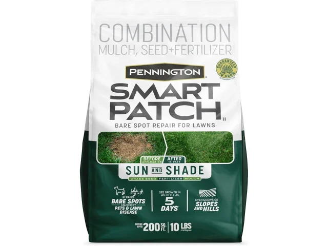 Penn Smart Patch S&S N – In-Depth Review