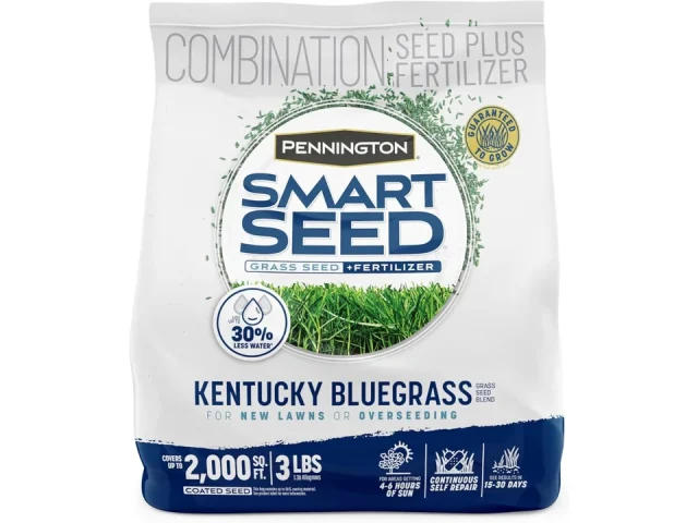 Pennington Smart Seed Kentucky Blue Grass Mix 3 – Honest