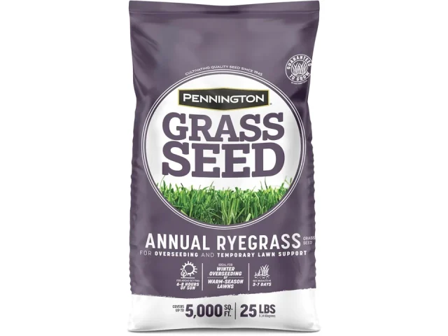 Pennington Annual Ryegrass Retail Bag – In-Depth Review