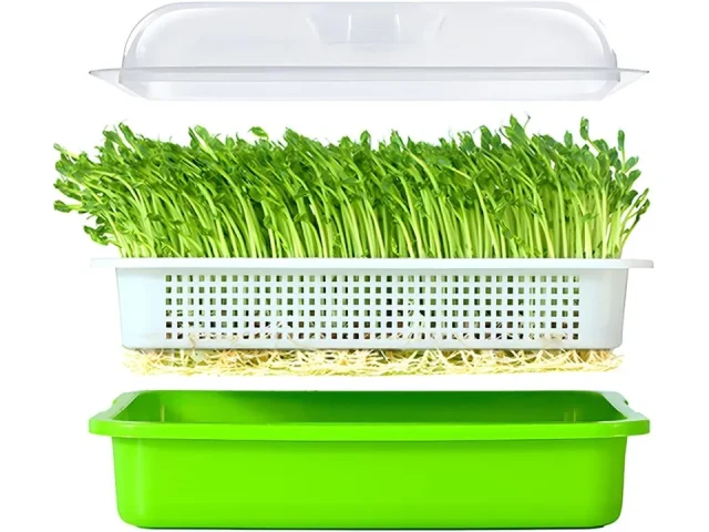 LeJoy Garden Seed Sprouter Tray: Honest Review